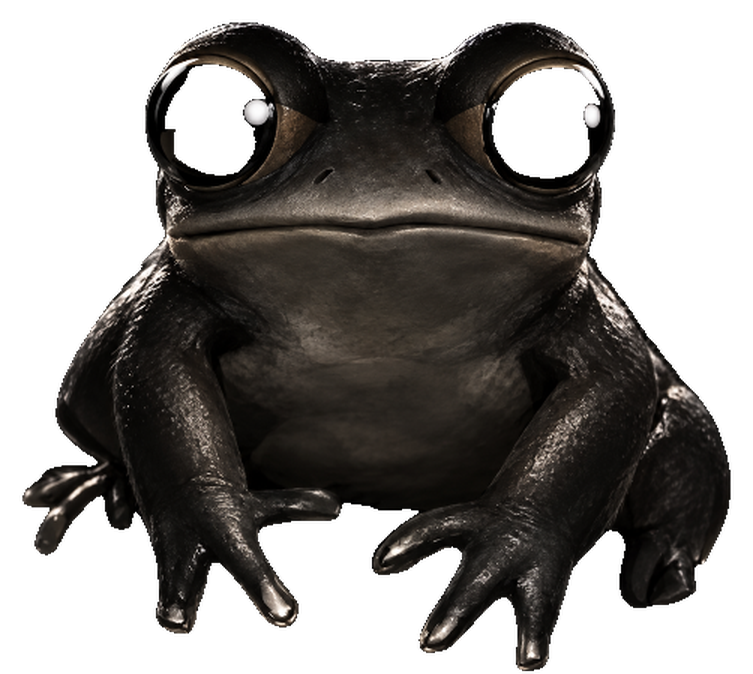 Black Frog